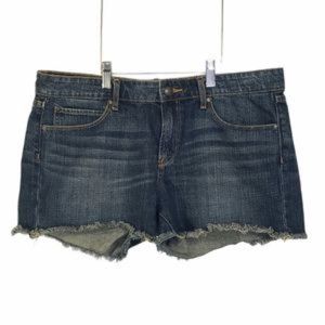 Articles of Society Blue Denim Shorts Size 31